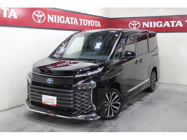 ȥ西  ϥ֥åɣӡݣǡףġʥӡԣ֡ξ¦ư饤