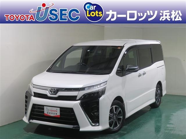 ＴＳＳ　ＰＫＳＢ　バックカメラ　フリップダウンモニター　両側パワスラ