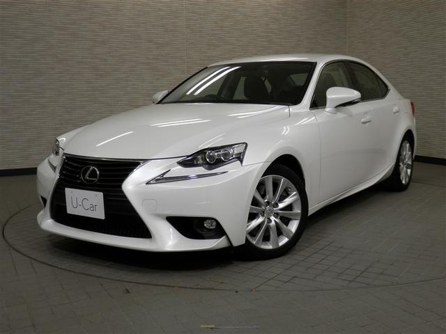 ʼ˸ Ȥ곰ƥǴݤԤäƤޤ 1