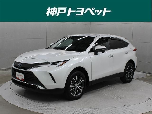 åʥץݡ󡢹鴶Τ륤ƥꥢŬ 1