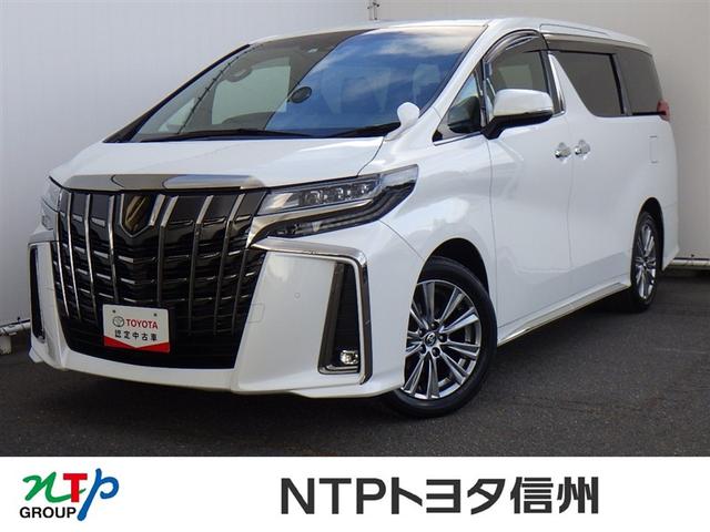 ե ӡץɡե륻꡼ʥ 9030535A20251208T006 1