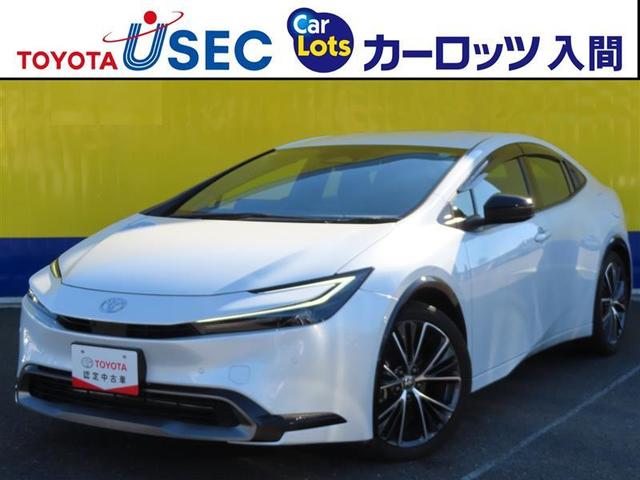 ȥ西 ץꥦ ڡꥢ顡ץꥯå塡ܳ