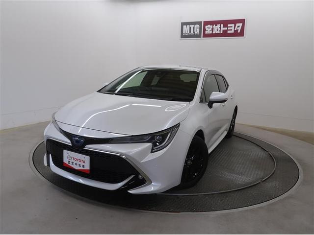 饹ݡ ϥ֥åɣǡѥåե륻ģ֣ĺ 0900059A20251209T001 1