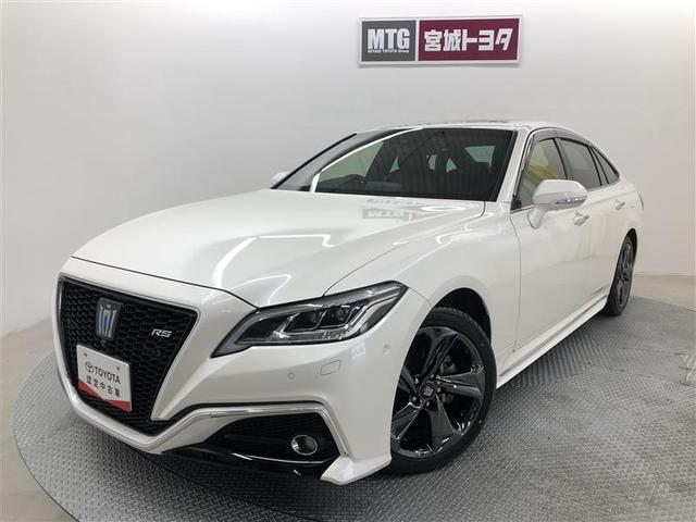 饦ϥ֥å ңӡߥƥåɡץȡ롼 0902200A20251209T003 1