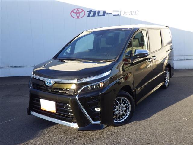 ȥ西  ϥ֥åɣڣӡɣɣɡϥǥԣ֡䥫