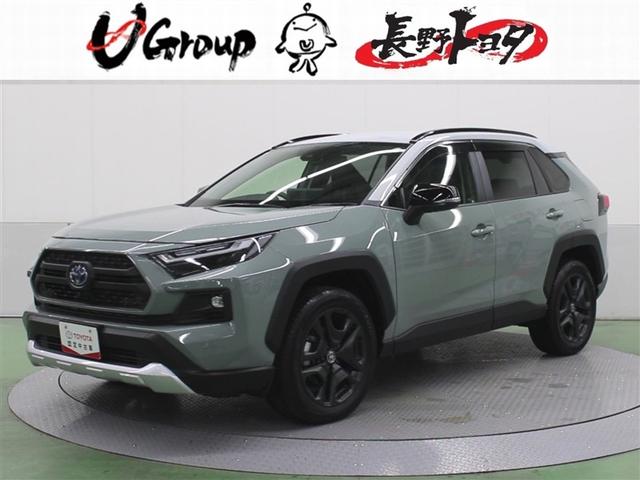 ң֣ ϥ֥åɥɥ٥㡼ףġե륻꡼ʥ 9030018A20251209T002 1