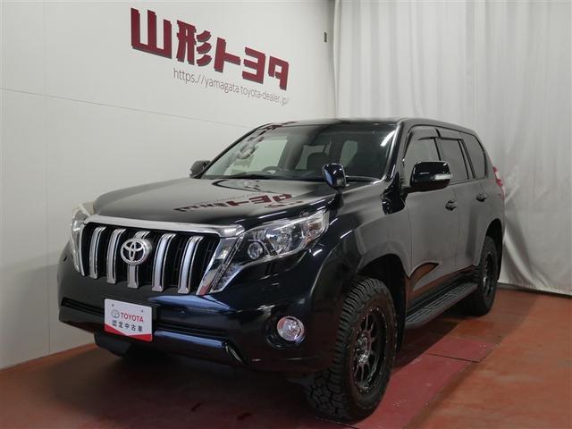 ȥ西 ɥ롼ץ ԣء̥ѥåץȡ롼