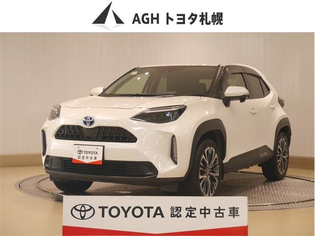 ȥ西ǧż ࡼʲ®ǽŬʥ󥰥ɥ饤֤¸ãŸդ 1