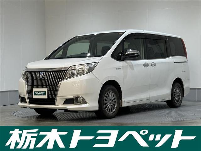 饤оݼ֡ڸ⡢ܻĮ¼ˤޤǡҤˤŹǽ 1