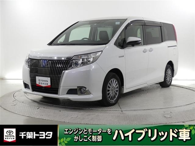 ǧż֡ۥե륻ԣ֡꡼ʥӡ̣ţĥإåɥסţԣ 1