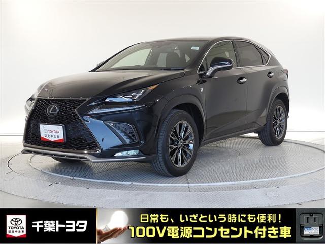 ǧż֡ͽɰե륻ԣ֡꡼ʥӡХå˥ 1