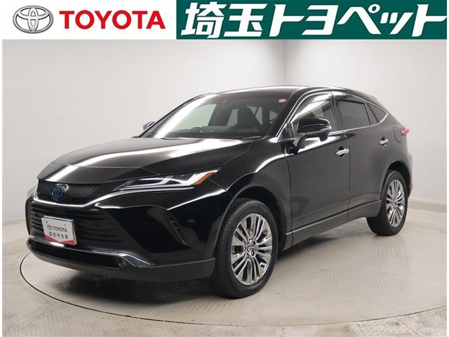 ȥ西 ϥꥢϥ֥å ڡϾǥ롡ﳲڸɥХå