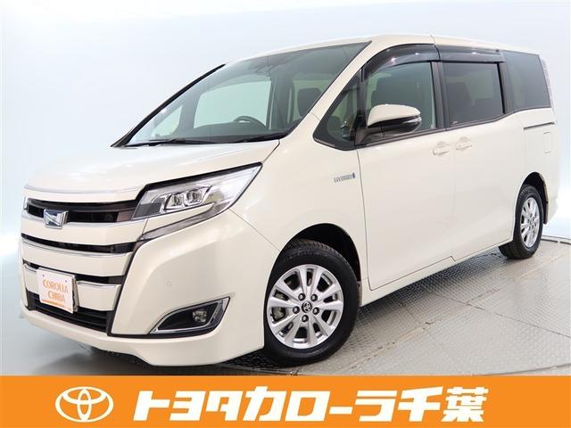 Ͳڸ֥졼ե륻ԣ֡ʥӡãŸξ¦ 1