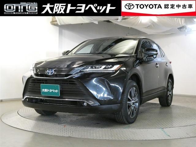 ȥ西 ϥꥢϥ֥å ǡͷڸϥǥ̣ţ