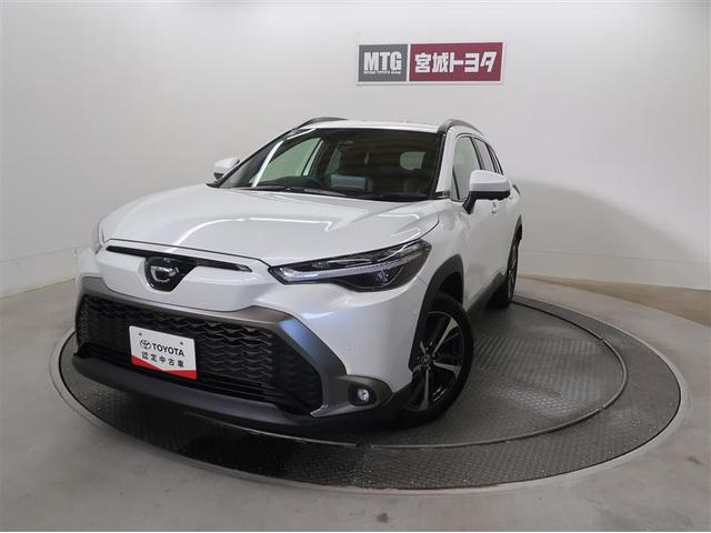 饯 ϥ֥åɡڡﳲڸƥࡡʥӡԣ 0900009A20251210T002 1