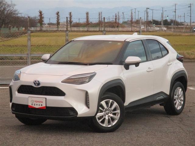 ǥץ쥤ǥʥʥ̵ƥ̵ˡХå˥̣ţĥإå 1