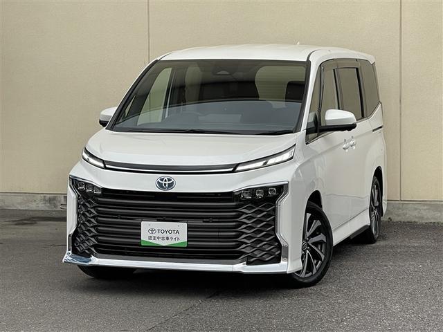  ϥ֥åɣӡݣڡե륻꡼ʥӡߥ塼åץ쥤䡼³ 0101882A20251211T001 1