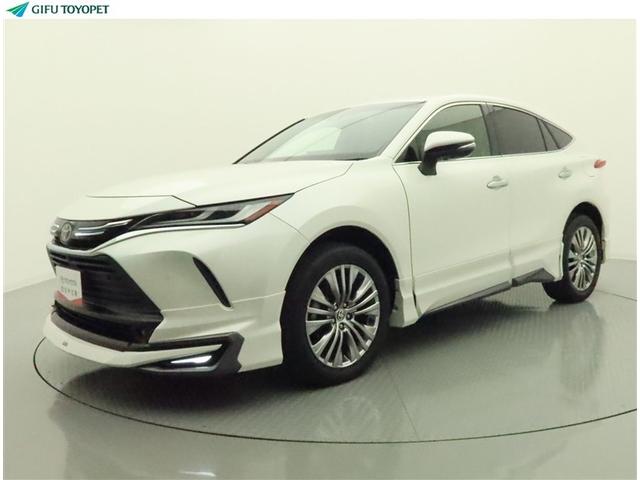 츩䡦Ͽǽʤͤ˸¤ޤ ﳲڸ֥졼֡ե륨ǥå塪¿ѥݡȤ侩 1