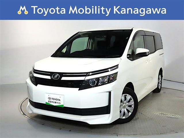 ʥСˣ;ǲŬʥʥӡХå˥ 1