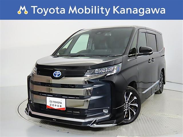 ե륨ͥƥåɥʥӣУ̣գӡŬإѥåɥ饤ӥ󥰥 1