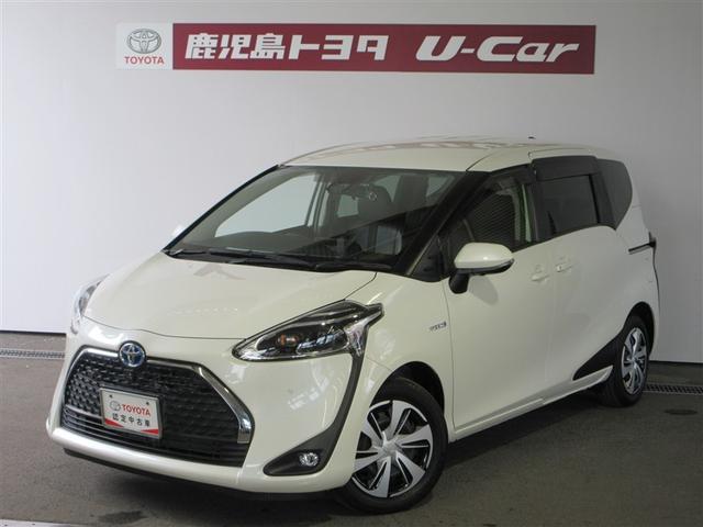 ȥ西  ϥ֥åɣǡϿȾץ