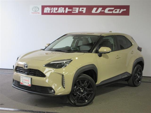 ꥹ ϥ֥åɣڡƥꥸȥߥۥ롡̣ţĥ饤 1100950A20251211T001 1