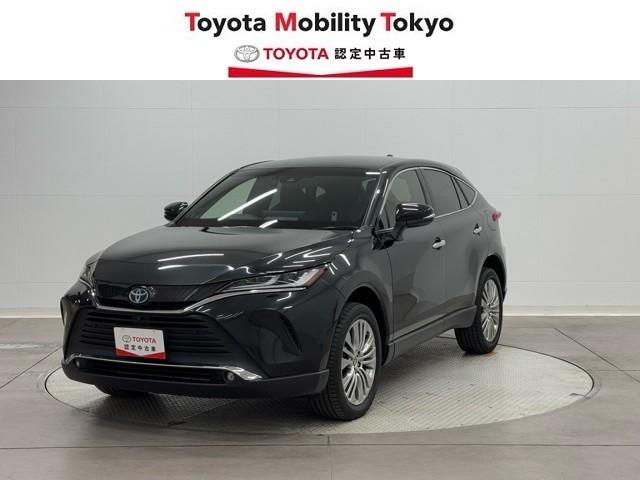 ֡¿Υȥ西󥰥ݾդǤ ʣڿۤǴؤǤŸ졦ӥ 1