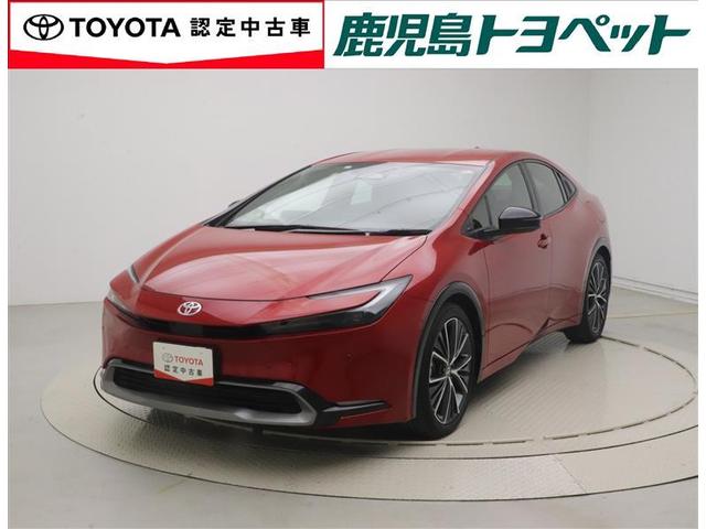 ȥ西 ץꥦ ڡꥢ顡ץꥯå塡ܳ