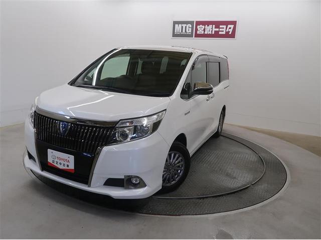 ȥ西  ϥ֥åɣǣ顡֥åơ顼ɡե륻꡼ʥ