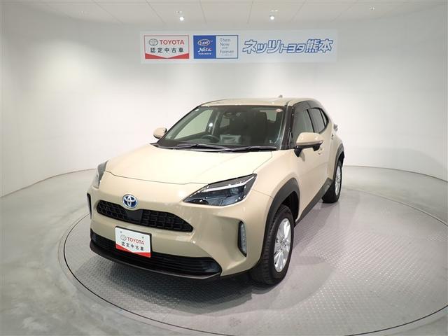 ǥץ쥤ǥե륻ԣ֡Хå˥̣ţĥإåɥ 1