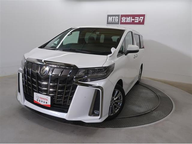 ȥ西 ե ӡץɡե륻꡼ʥ