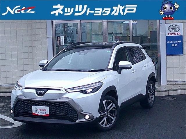 J[NX(g^) nCubh@y@T[t@Փ˔QyVXe@L^ Îԉ摜