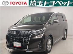 �ȥ西������ե����ɡ��������ǡ����֥륵��롼�ա����ã��������Ÿ�����ž�ʥѥ������