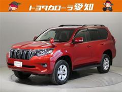 �ȥ西�����ɥ��롼�����ץ�ɡ��ԣء������ﳲ�ڸ������ƥࡡ���꡼�ʥӡ��ե륻��