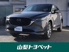 �ޥĥ����ãءݣ��������ӡ����������롼���֥⡼��