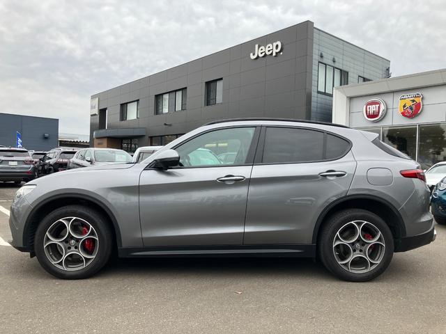 ALFA ROMEO STELVIO 2.0 TURBO Q4 SPORT PACKAGE