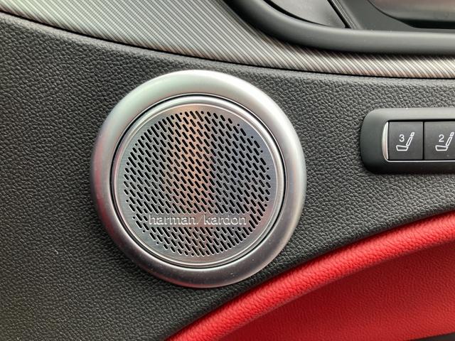 ALFA ROMEO STELVIO 2.0 TURBO Q4 SPORT PACKAGE