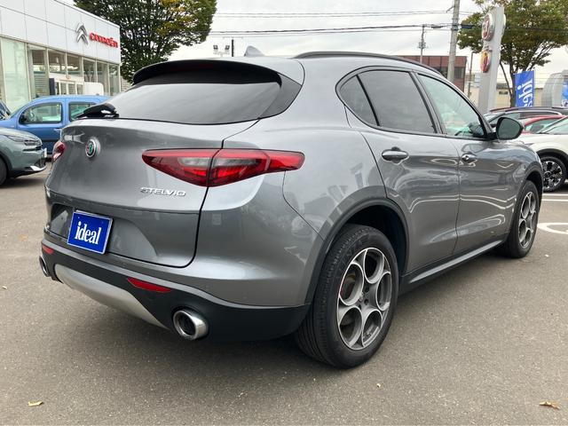 ALFA ROMEO STELVIO 2.0 TURBO Q4 SPORT PACKAGE