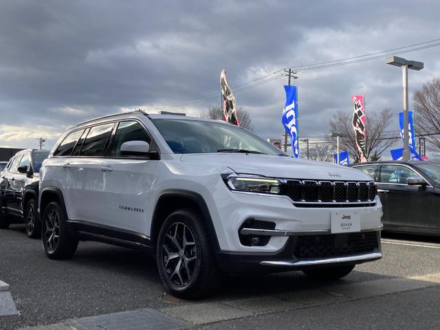 ���u�����h�ł͖��킦�Ȃ�����������A�y�����i�d�d�o���C�t��̊����Ă݂܂��񂩁H