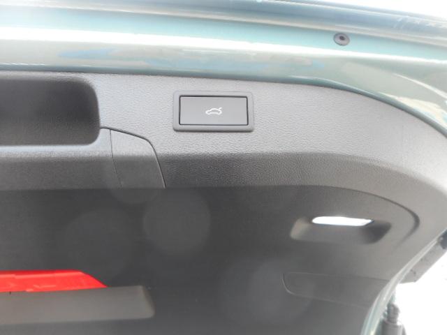 パサート eTSI エレガンス(35枚目)