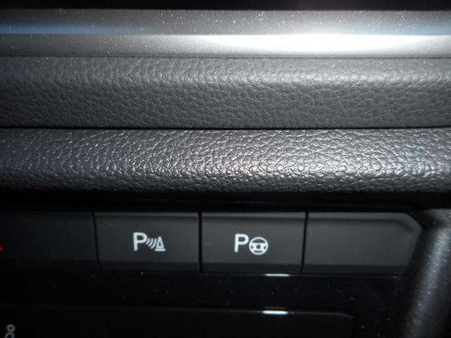 Ｔ－ロック ＴＤＩ　スタイル（19枚目）