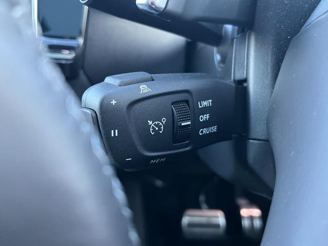 ＤＳ７クロスバック グランシック　ピュアテック　オペラ内装　ナイトビジョン　ガラスサンルーフ　１オーナー　フルセグナビ　純正２０ＡＷ　ＬＥＤライト　ＡＣＣ　ＥＴＣ　全周囲カメラ　カープレイ　シートヒーター＆クーラー　電動リアゲート　ＡＴハイビーム（23枚目）