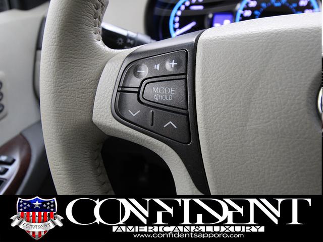 シエナ 　リミテッド　４ＷＤ　社外２２インチＡＷ　車高調　ツインサンルーフ　両側パワースライドドア　格納サードシート　地デジ・ナビ　フロント・サイド・バックカメラ　電動格納ミラー　ＢＳＭ　フリップダウンモニター（28枚目）