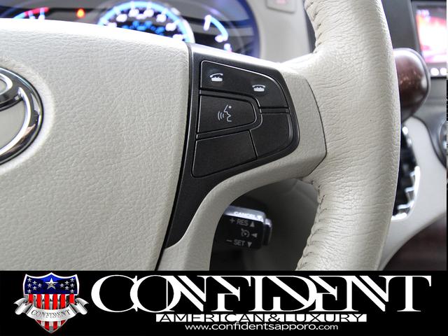 シエナ 　リミテッド　４ＷＤ　社外２２インチＡＷ　車高調　ツインサンルーフ　両側パワースライドドア　格納サードシート　地デジ・ナビ　フロント・サイド・バックカメラ　電動格納ミラー　ＢＳＭ　フリップダウンモニター（29枚目）