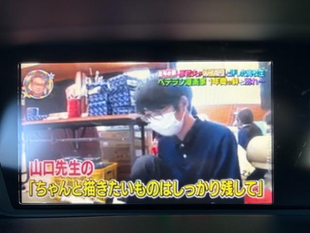 オデッセイ アブソルート ナビ Bカメラ 後席モニター 関東仕入 禁煙 TV DVD再生 HID ETC 純正18AW キーレス Tチェーン Mウィンカー(41枚目)