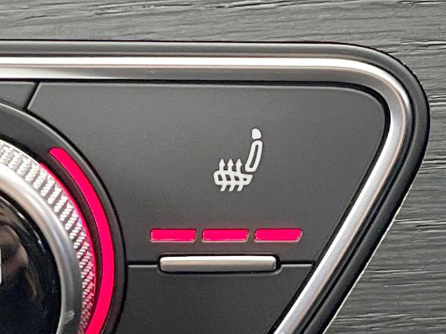 Ａ４オールロードクワトロ ベースグレード　ラグジュアリーパッケージ　マリクスＬＥＤヘッドライトパッケージ　パークアシストパッケージ　バーチャルコックピット　黒革シート　シートヒーター　アダプティブクルーズコントロール　全周囲カメラ（29枚目）