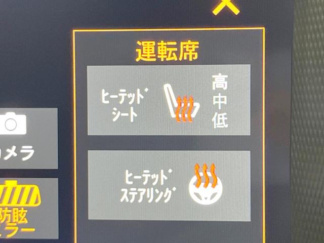 ジープ・ラングラーアンリミテッド サハラ 純正ナビ バックカメラ レーダークルーズコントロール 黒革シート シートヒーター ステアリングヒーター ALPINEサウンドシステム LEDヘッドライト ETC 17インチアルミホイール(31枚目)