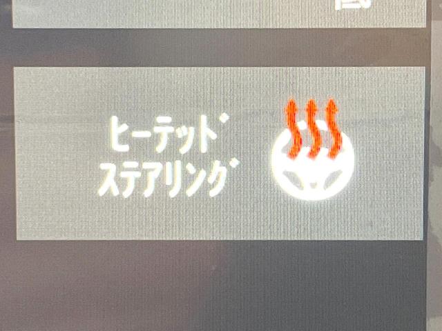 ジープ・ラングラーアンリミテッド ルビコンリミテEDウィズサンライダフリTフォーハドT 250台限定特別仕様車 黒革シート 前席シートヒーター アダプティブクルーズコントロール LEDヘッドライト 純正ナビ バックカメラ ALPINEスピーカー ダウンヒルアシスト(25枚目)