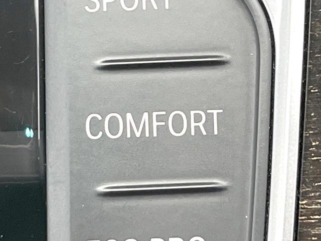 3シリーズ 320d xDrive Mスポーツ ハイラインパッケージ コンフォートパッケージ 茶革シート シートヒーター アクティブクルーズコントンロール 純正ナビ 全周囲カメラ Mスポーツサスペンション LEDヘッドライト パドルシフト(41枚目)