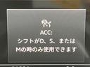 ベースグレード　ラグジュアリーパッケージ　マリクスＬＥＤヘッドライトパッケージ　パークアシストパッケージ　バーチャルコックピット　黒革シート　シートヒーター　アダプティブクルーズコントロール　全周囲カメラ（45枚目）